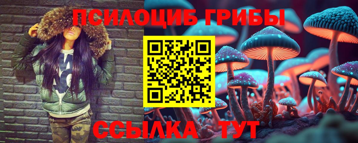наркошоп  Вход с VPN  Якутск  Псилоцибиновые грибы MAGIC MUSHROOMS 
